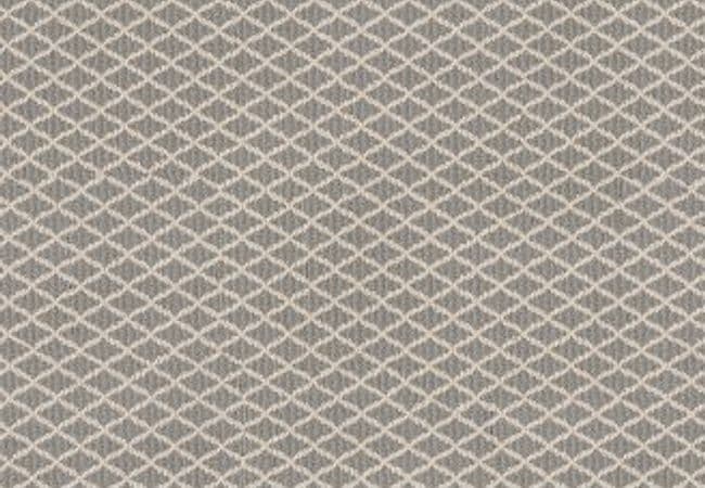 Anderson Tuftex Carpet Springer's Point Iced Marble — Anderson Tuftex