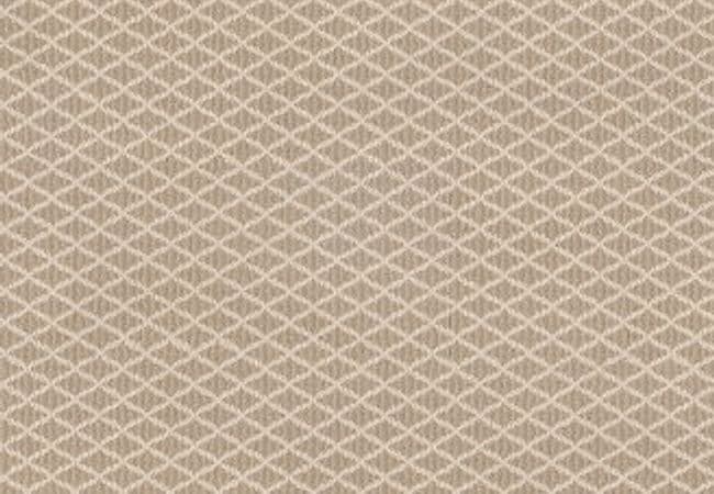 Anderson Tuftex Carpet Springer's Point Mohair — Anderson Tuftex