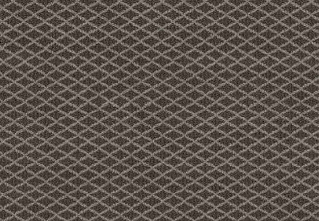 Anderson Tuftex Carpet Springer's Point Pepperdock — Anderson Tuftex