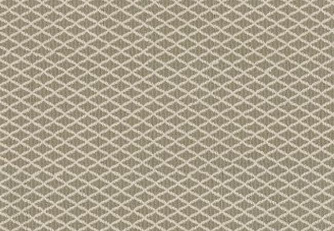 Anderson Tuftex Carpet Springer's Point Spring Mist — Anderson Tuftex