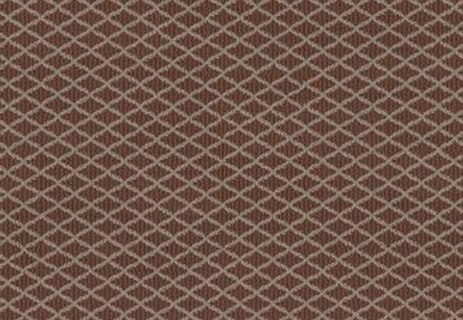 Anderson Tuftex Carpet Stroll Burnt Russet — Anderson Tuftex