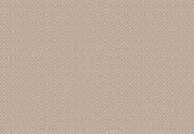 Anderson Tuftex Carpet Stroll Mohair — Anderson Tuftex