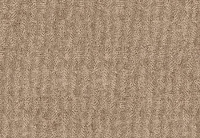 Anderson Tuftex Carpet Stroll Twilight Gold — Anderson Tuftex