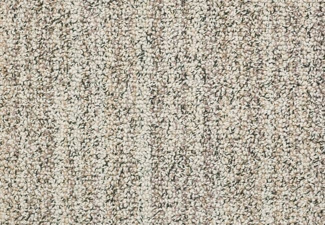 Anderson Tuftex Carpet Sundance Winter Oak — Anderson Tuftex