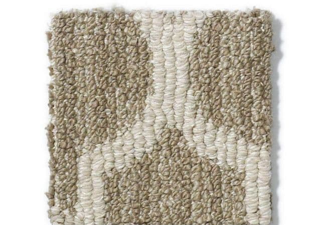 Anderson Tuftex Carpet Taza Cliff Edge, Anderson Tuftex