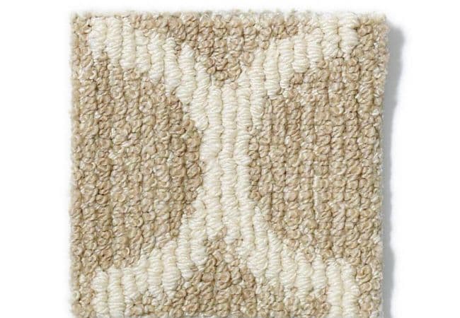 Anderson Tuftex Carpet Taza Fine Grain, Anderson Tuftex