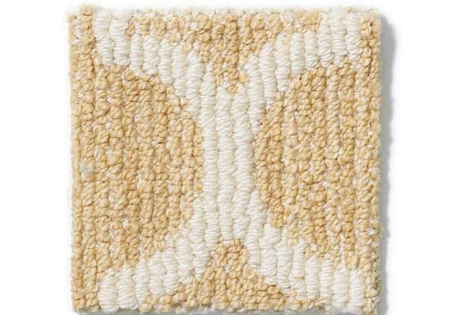 Anderson Tuftex Carpet Taza Fresh Citrus, Anderson Tuftex