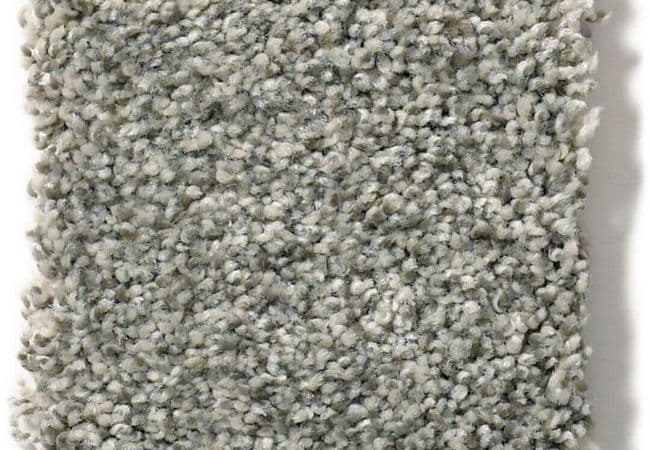 Anderson Tuftex Carpet The Bark Side II Abalone, Anderson Tuftex