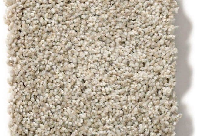 Anderson Tuftex Carpet The Bark Side II Aspen, Anderson Tuftex