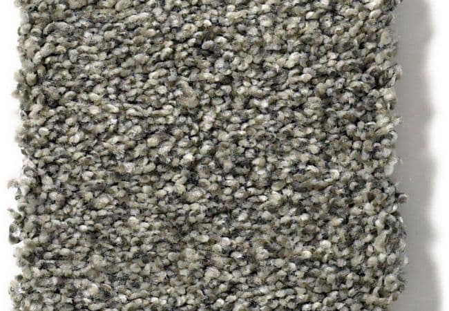 Anderson Tuftex Carpet The Bark Side II Leeds, Anderson Tuftex