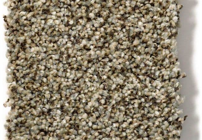 Anderson Tuftex Carpet The Bark Side II Mesa View, Anderson Tuftex