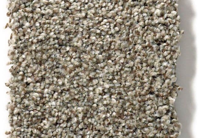 Anderson Tuftex Carpet The Bark Side II Rodeo, Anderson Tuftex
