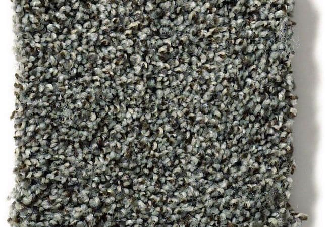 Anderson Tuftex Carpet The Bark Side II Rushmore, Anderson Tuftex