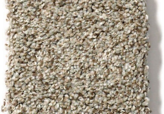 Anderson Tuftex Carpet The Bark Side II Sandstone, Anderson Tuftex
