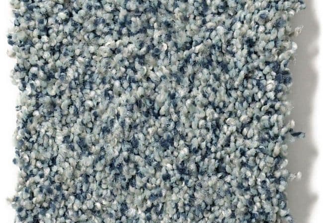 Anderson Tuftex Carpet The Bark Side II Sprinkle, Anderson Tuftex