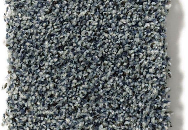 Anderson Tuftex Carpet The Bark Side II Thunder, Anderson Tuftex