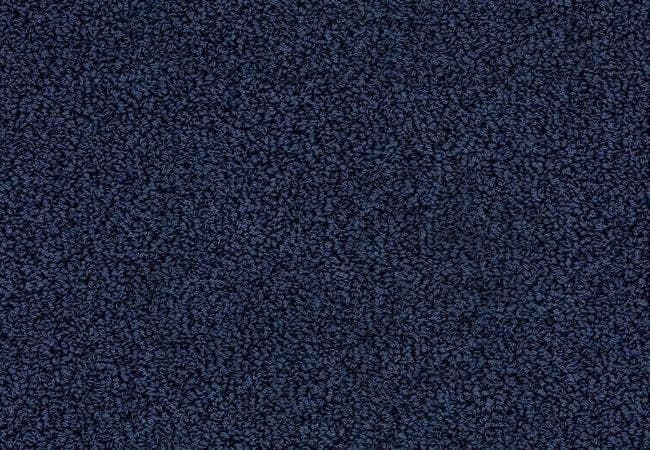 Anderson Tuftex Carpet The Bark Side II Tide Water — Anderson Tuftex