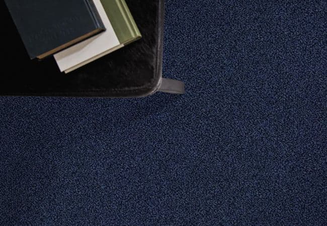 Anderson Tuftex The Bark Side II flooring collection sample