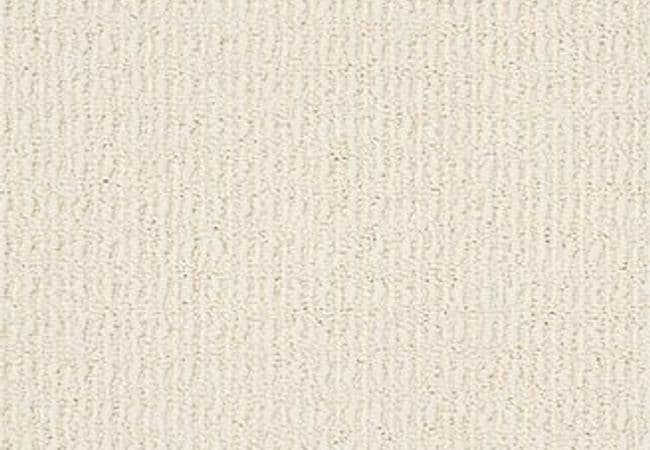 Anderson Tuftex Carpet Truly Delightful Alluring — Anderson Tuftex