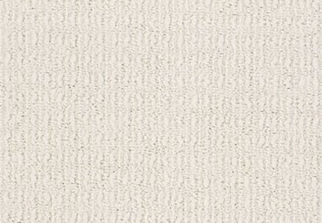 Anderson Tuftex Carpet Truly Delightful Blank Canvas, Anderson Tuftex