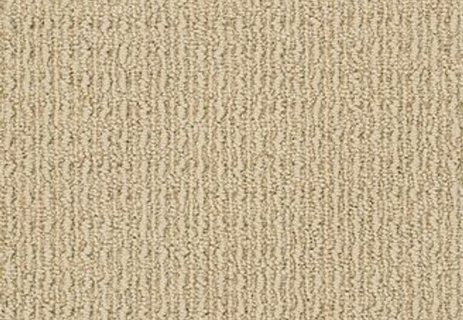 Anderson Tuftex Carpet Truly Delightful Buckskin, Anderson Tuftex