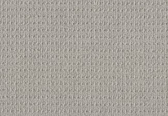 Anderson Tuftex Carpet Truly Delightful Chainlink — Anderson Tuftex