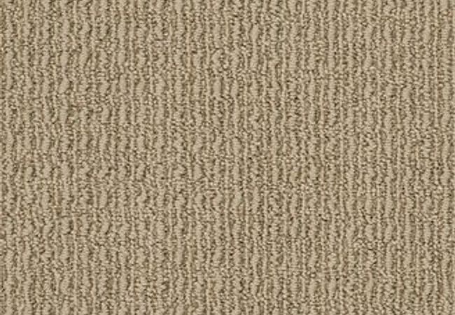 Anderson Tuftex Carpet Truly Delightful Chester, Anderson Tuftex