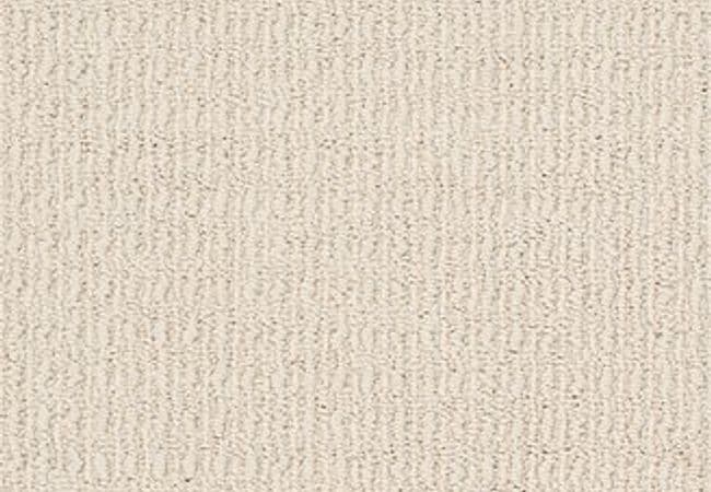 Anderson Tuftex Carpet Truly Delightful Down Feather, Anderson Tuftex