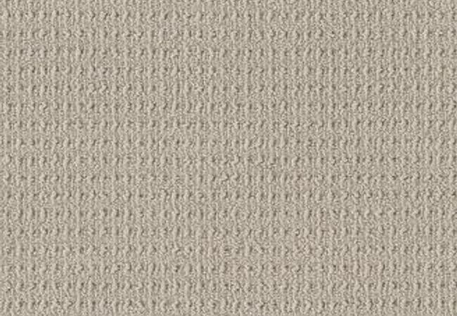 Anderson Tuftex Carpet Truly Delightful Hint of Gray, Anderson Tuftex
