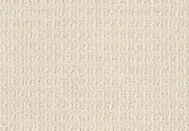 Anderson Tuftex Carpet Truly Delightful Light Apricot — Anderson Tuftex