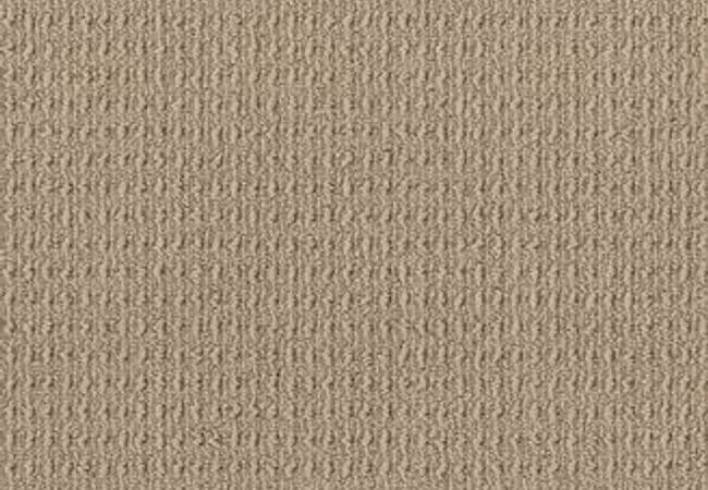 Anderson Tuftex Carpet Truly Delightful Nomadic — Anderson Tuftex