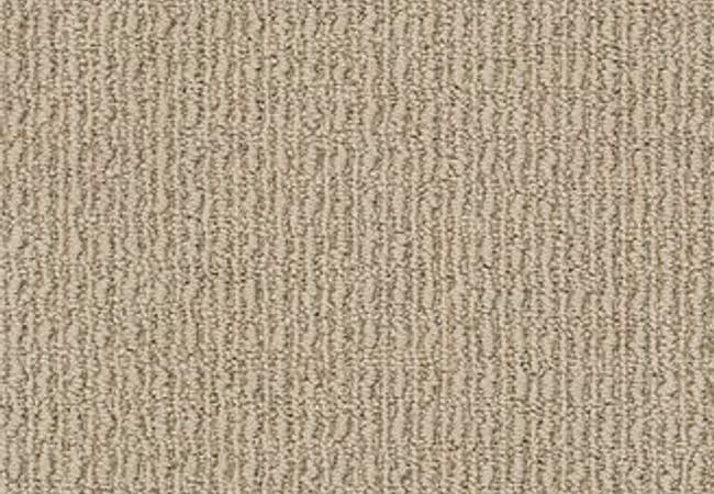 Anderson Tuftex Carpet Truly Delightful Pebble, Anderson Tuftex