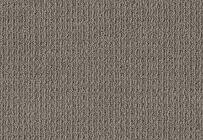 Anderson Tuftex Carpet Truly Delightful Shadow — Anderson Tuftex