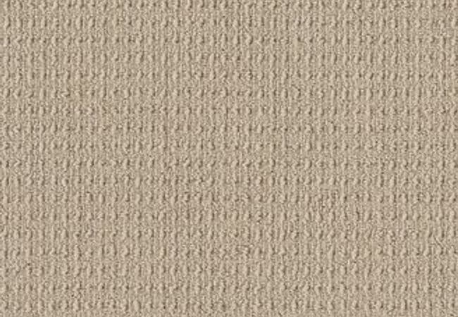 Anderson Tuftex Carpet Truly Delightful Shortbread — Anderson Tuftex
