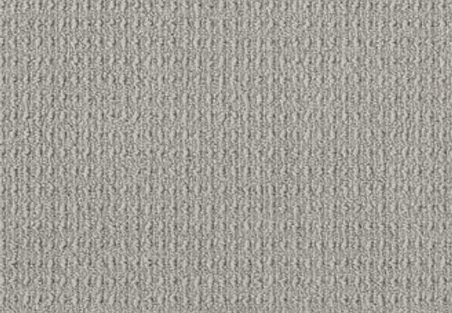Anderson Tuftex Carpet Truly Delightful Silver — Anderson Tuftex