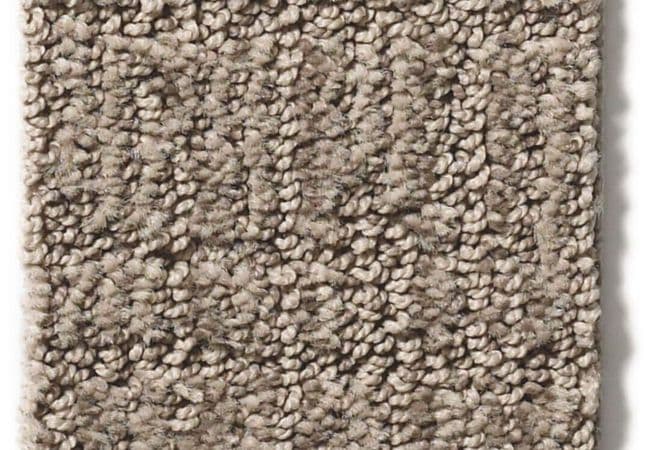 Anderson Tuftex Carpet Wanderer Stonish, Anderson Tuftex