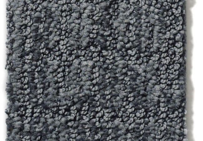 Anderson Tuftex Carpet Wanderer Stratton, Anderson Tuftex