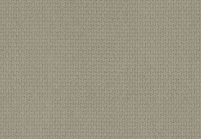 Anderson Tuftex Casual Life Frosted Ivy — Anderson Tuftex