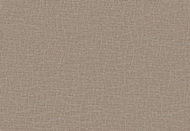 Anderson Tuftex Chit Chat Canyon Dust — Anderson Tuftex