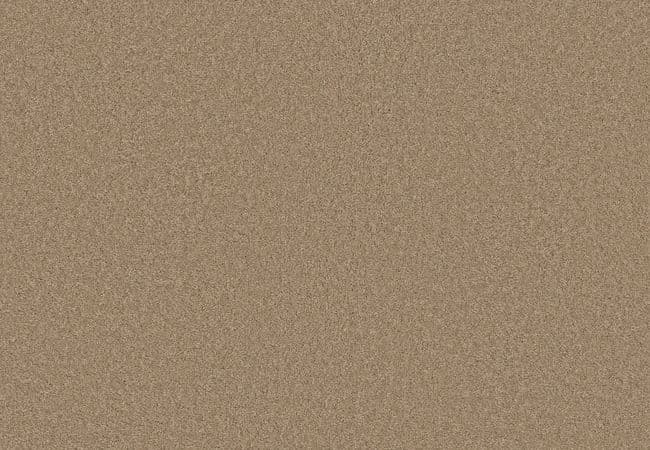 Anderson Tuftex Elegant Beauty Biscotti, Anderson Tuftex