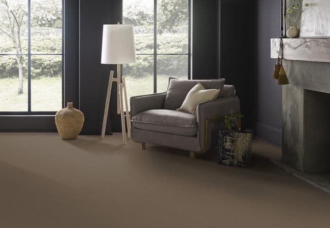 Anderson Tuftex Elegant Beauty flooring collection sample