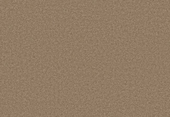 Anderson Tuftex Elegant Beauty Latte, Anderson Tuftex