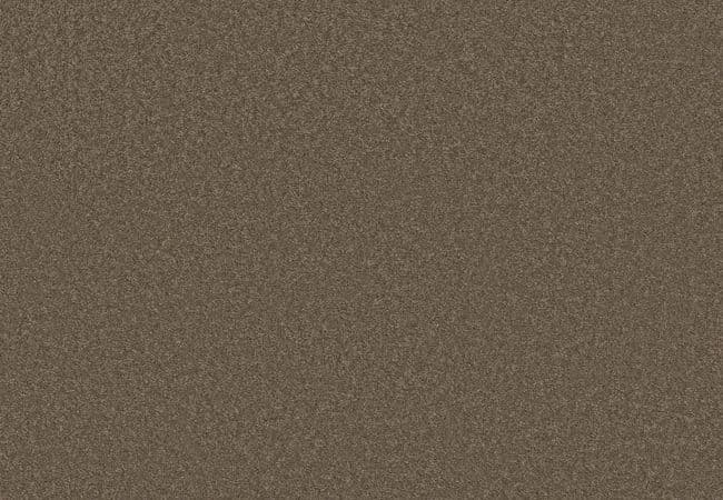 Anderson Tuftex Elegant Beauty Moonbeam — Anderson Tuftex