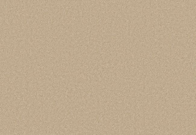 Anderson Tuftex Elegant Beauty Papyrus — Anderson Tuftex