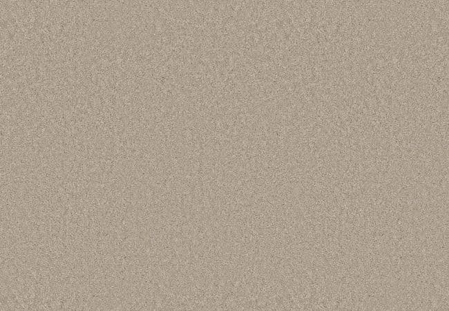 Anderson Tuftex Elegant Beauty Sandshell — Anderson Tuftex