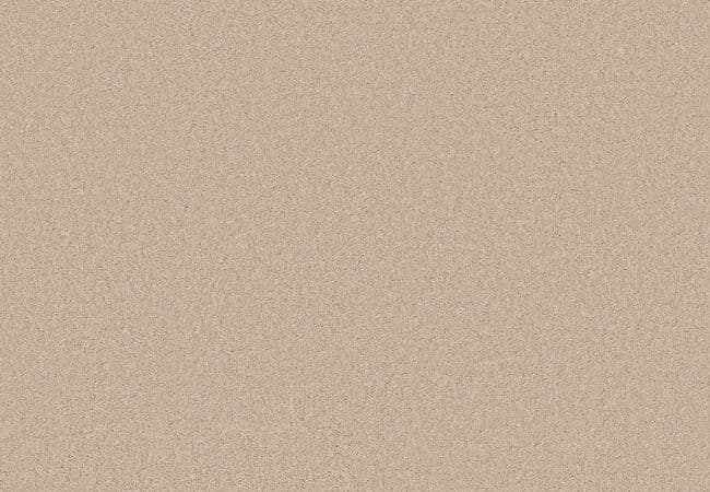 Anderson Tuftex Elegant Beauty Tapioca — Anderson Tuftex