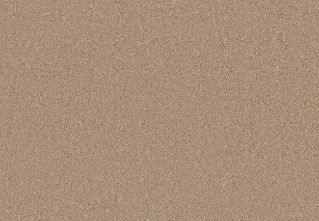 Anderson Tuftex Elegant Beauty Warm Sand — Anderson Tuftex