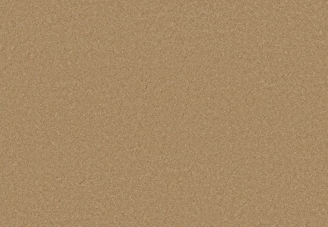Anderson Tuftex Elegant Beauty Winter Wheat — Anderson Tuftex