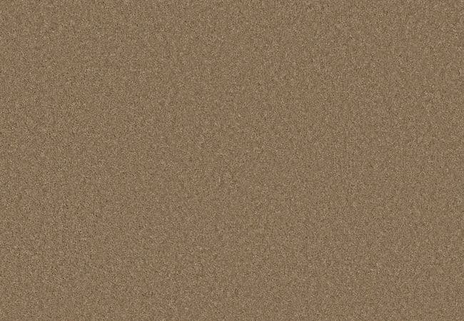Anderson Tuftex Enchanting Latte, Anderson Tuftex