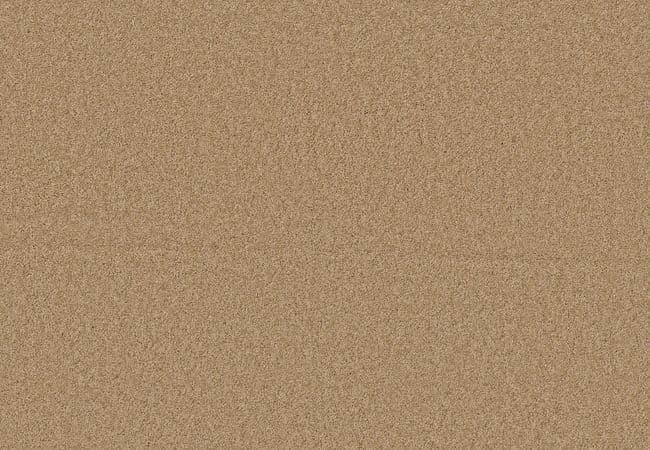 Anderson Tuftex Enchanting Winter Wheat, Anderson Tuftex